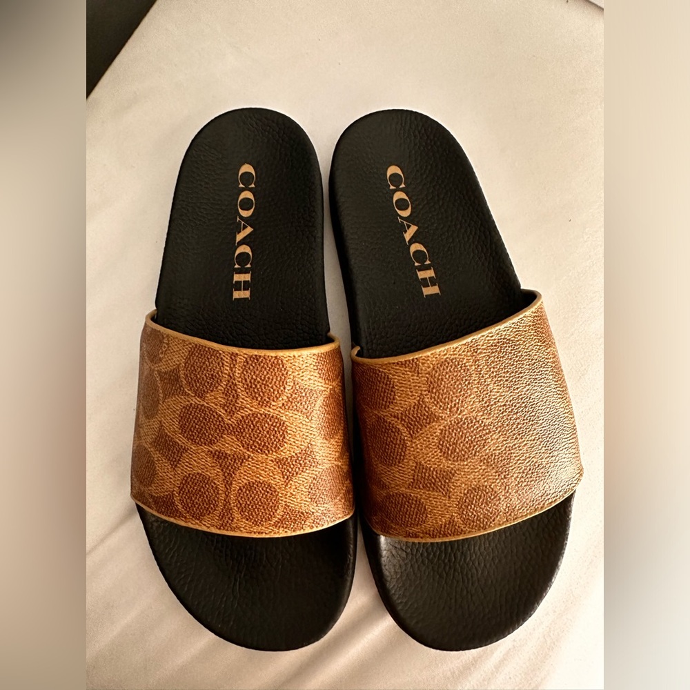 Coach pool slides